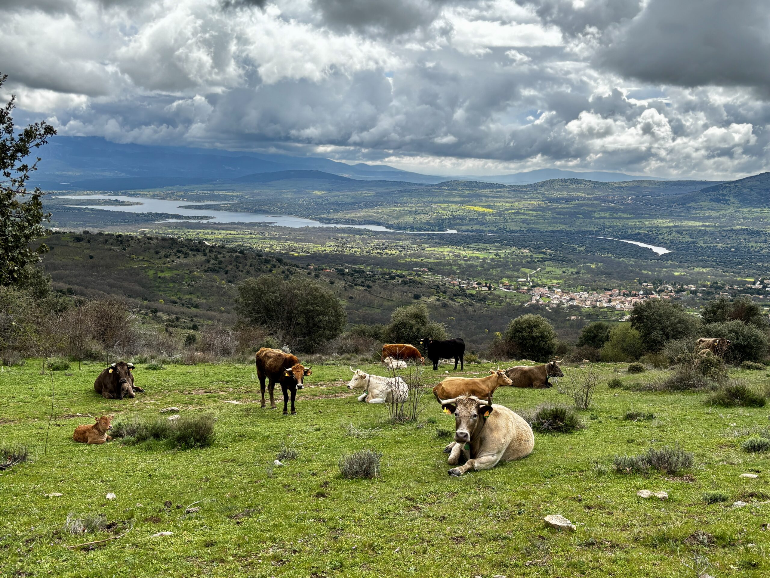 Fotografía presentada por Miriam García